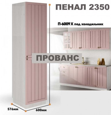 provans_p_6009 x_10